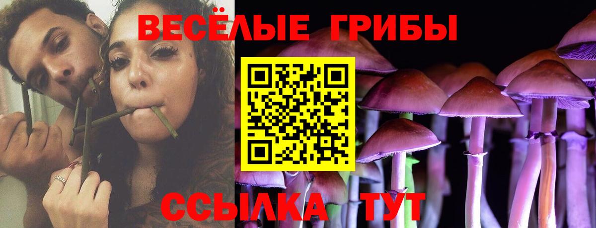Галлюциногенные грибы Psilocybe Рязань